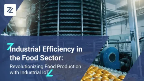 Industrial Efficiency in the Food Sector: Revolutionizing Food Production with Industrial IoT